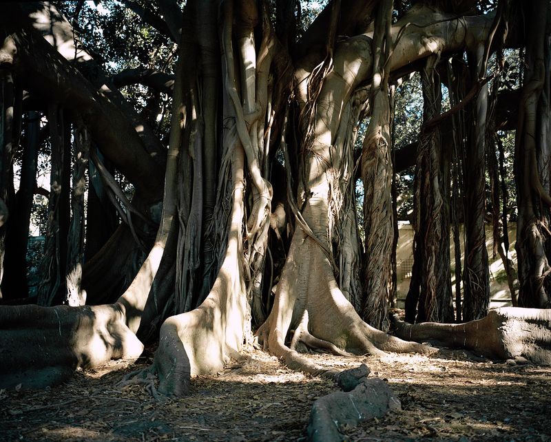 © Marie Hervé & Elsa Martinez - Untitled, Palermo (Sicily, IT)