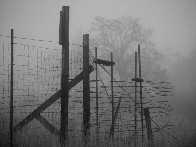 © Douglas Lowell - Image from the Ballad of the Returning Verse photography project