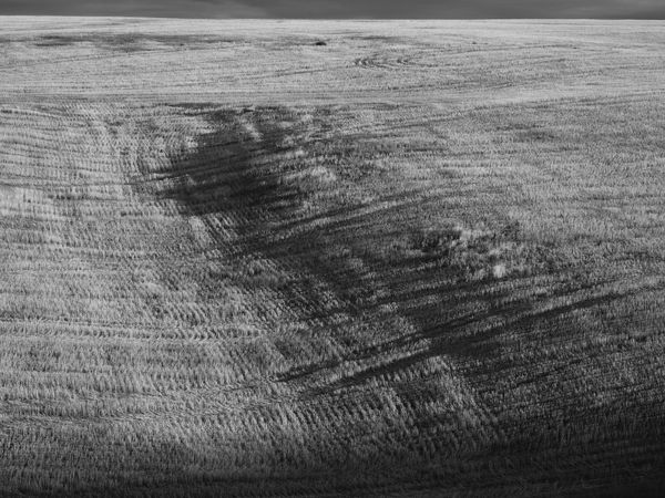 © Douglas Lowell - Image from the Ballad of the Returning Verse photography project