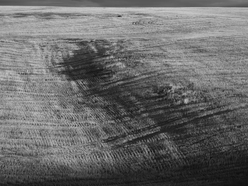 © Douglas Lowell - Image from the Ballad of the Returning Verse photography project