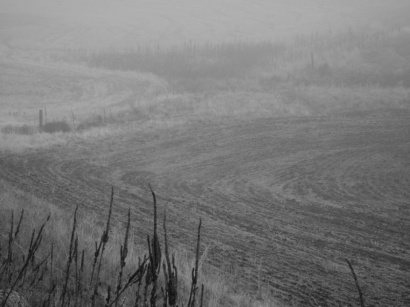 © Douglas Lowell - Image from the Ballad of the Returning Verse photography project