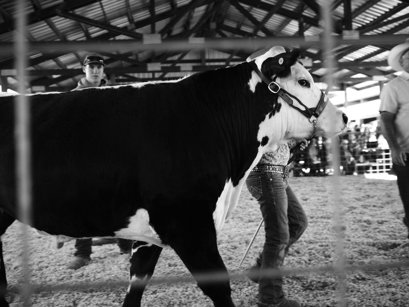 © Douglas Lowell - Image from the Ballad of the Watchers Watching photography project