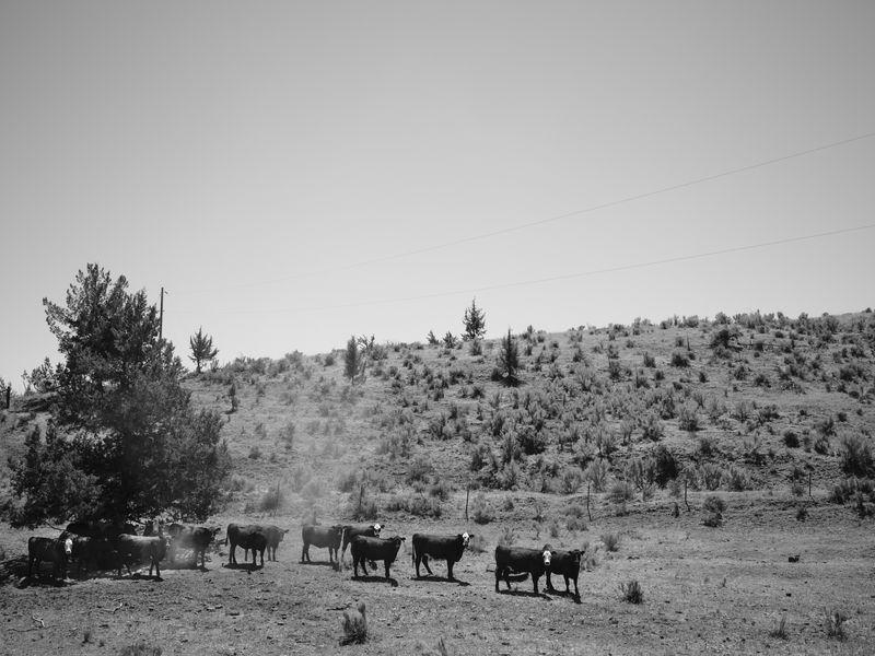 © Douglas Lowell - Image from the Ballad of the Watchers Watching photography project