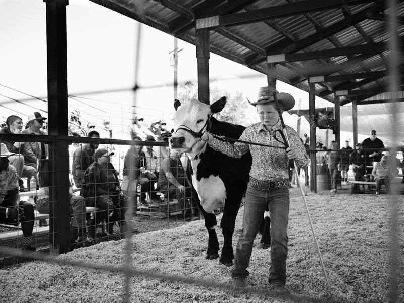 © Douglas Lowell - Image from the Ballad of the Watchers Watching photography project