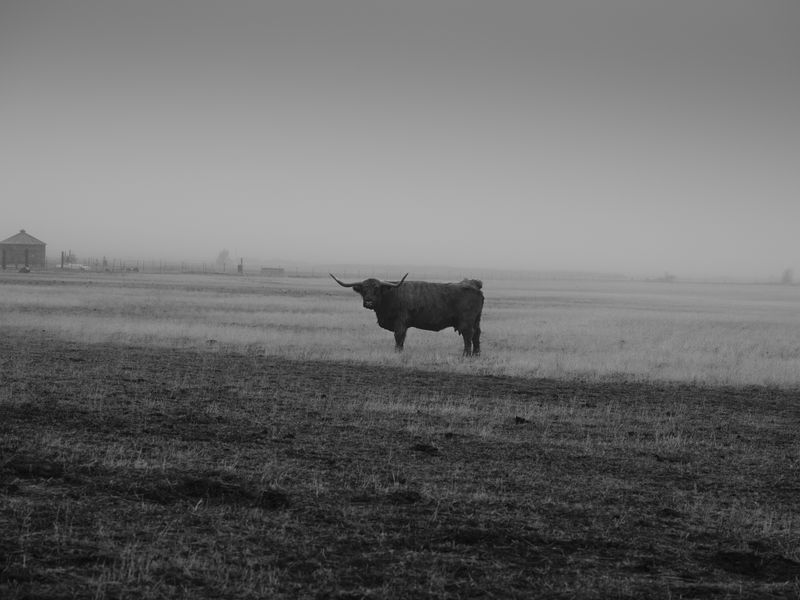 © Douglas Lowell - Image from the Ballad of the Watchers Watching photography project