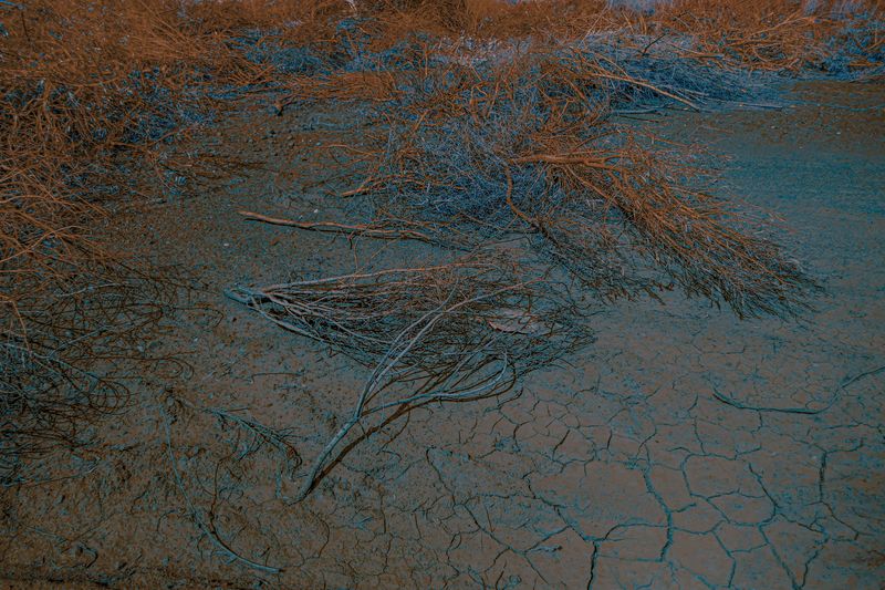 © Pelly Mandreka - Image from the A Filtered Reminder photography project