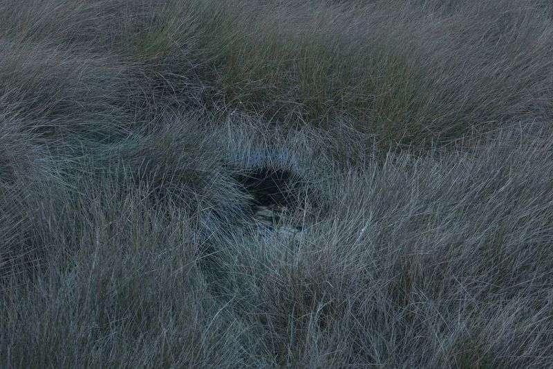 © Pelly Mandreka - Image from the A Filtered Reminder photography project