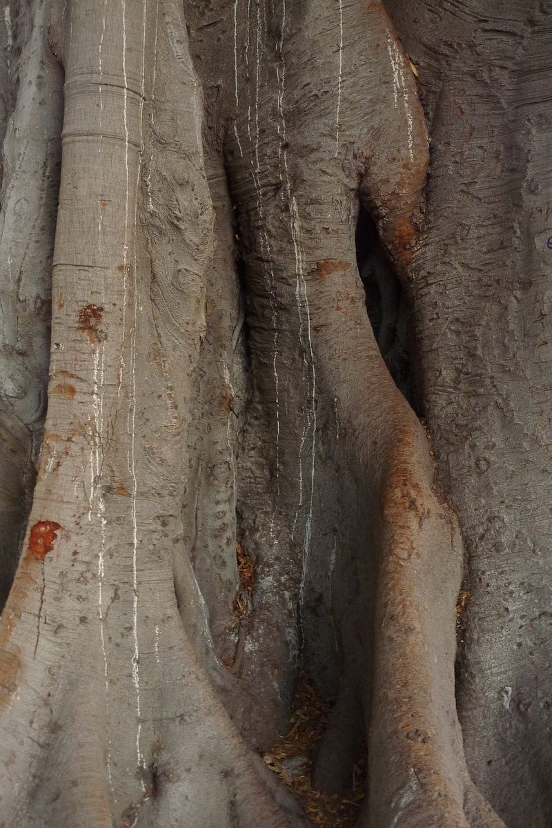 © Pelly Mandreka - Image from the A Filtered Reminder photography project