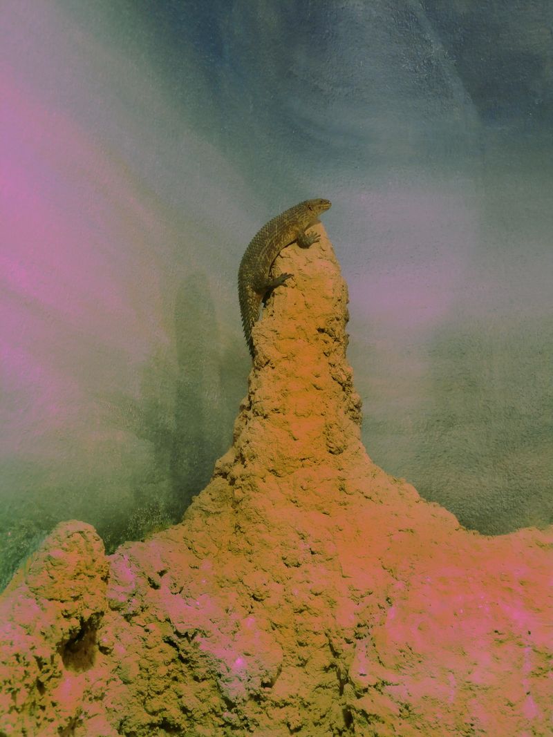 © Pelly Mandreka - Image from the A Filtered Reminder photography project
