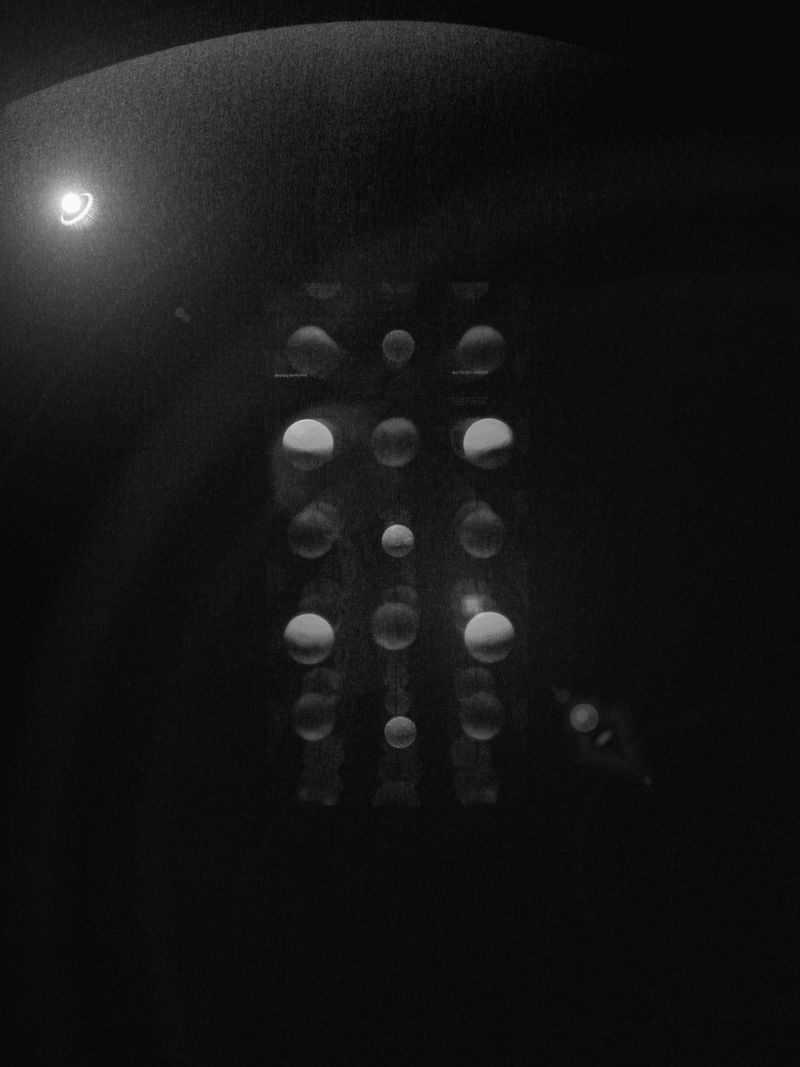 © Pelly Mandreka - Young planets (RZ57 series) in incubation device | hatching