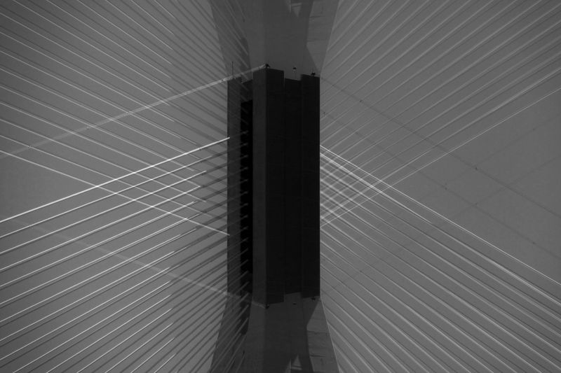 © Pelly Mandreka - Magnet forest - magnetic field plant preventing polar reversal | subterranean magnetic grid hub