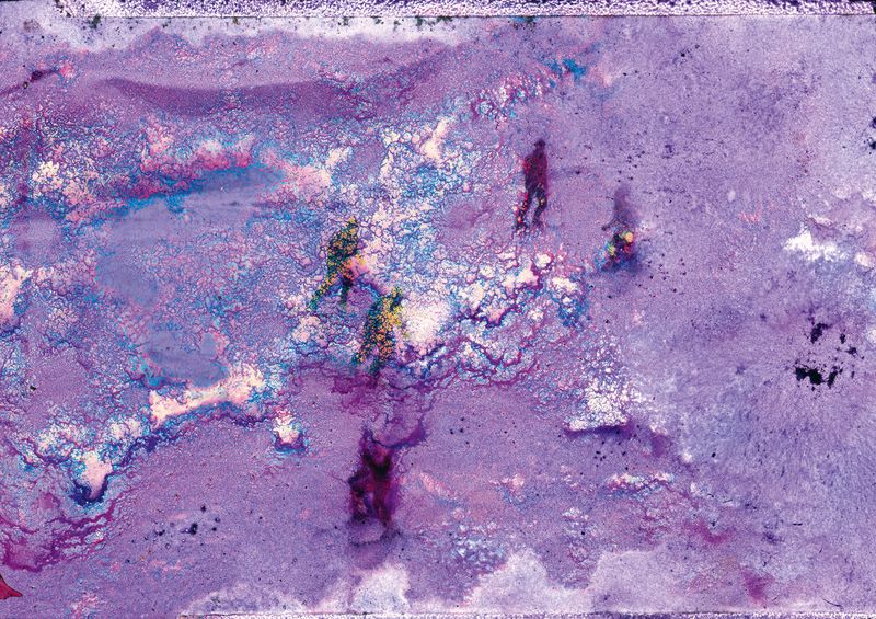 © Diego Vidart - Image from the BRLANTIDA photography project