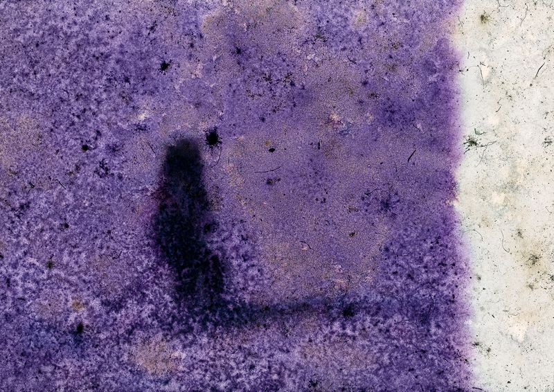 © Diego Vidart - Image from the BRLANTIDA photography project