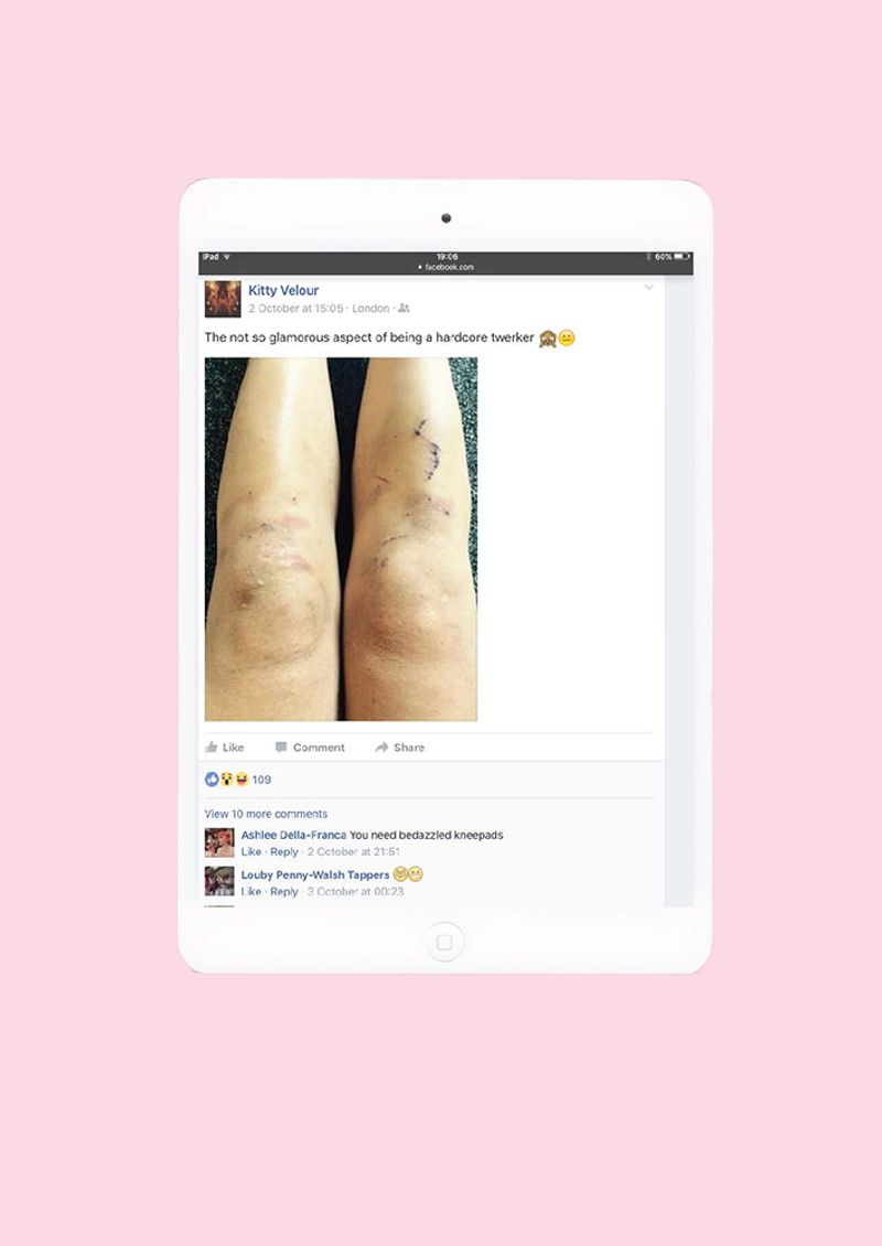 © Julie Cook - E.L.S.C. FILES, 'Kitty Velour Facebook', 2017