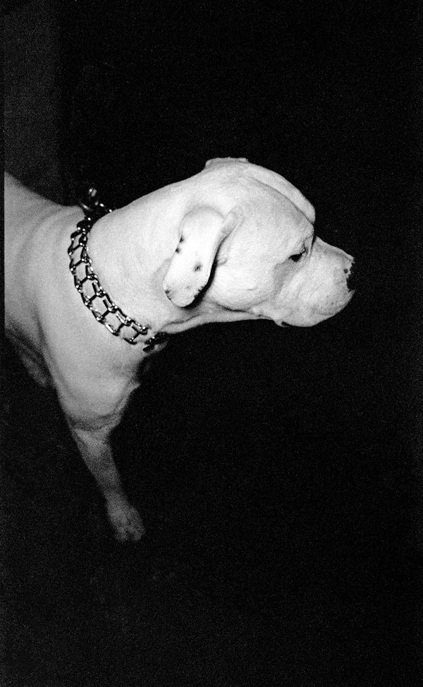 © Glauco Canalis - Image from the The Darker the Night, the Brighter the Stars photography project