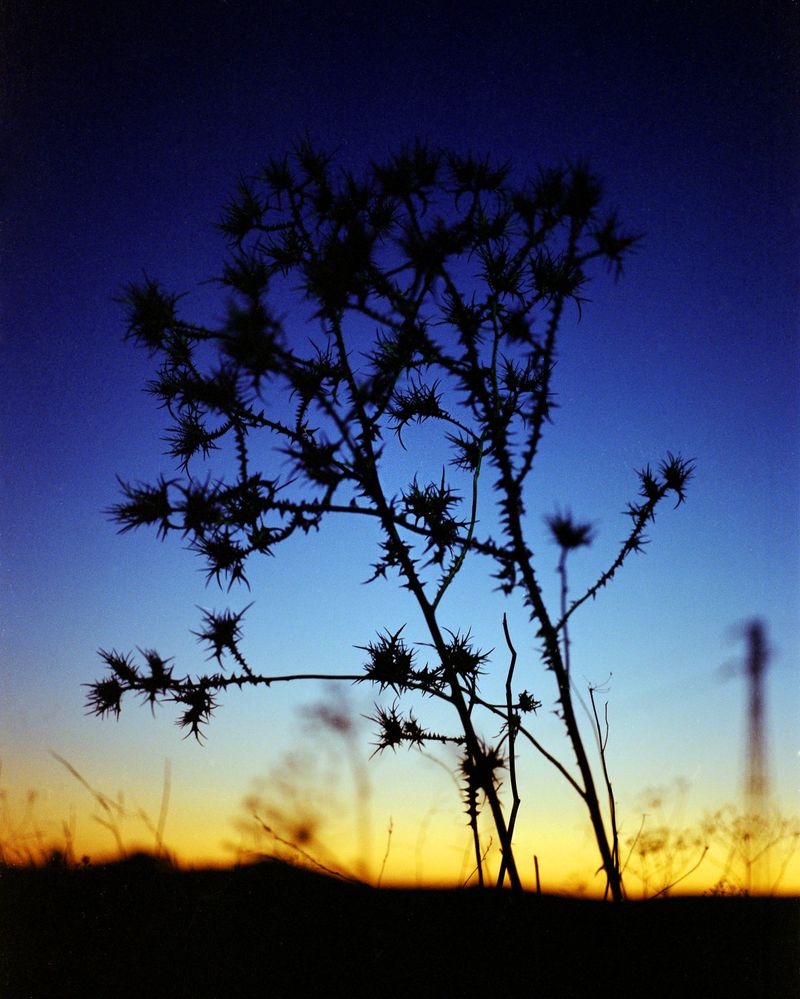 © Glauco Canalis - Image from the Sicily 49 - photography project