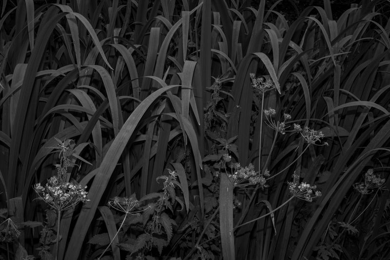 © Garry Loughlin - Image from the The Clearing House photography project