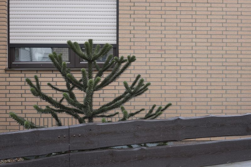 © Vera Loitzsch - Image from the Rohtse Lang, Coyote Karl un dä Moppe Chris photography project