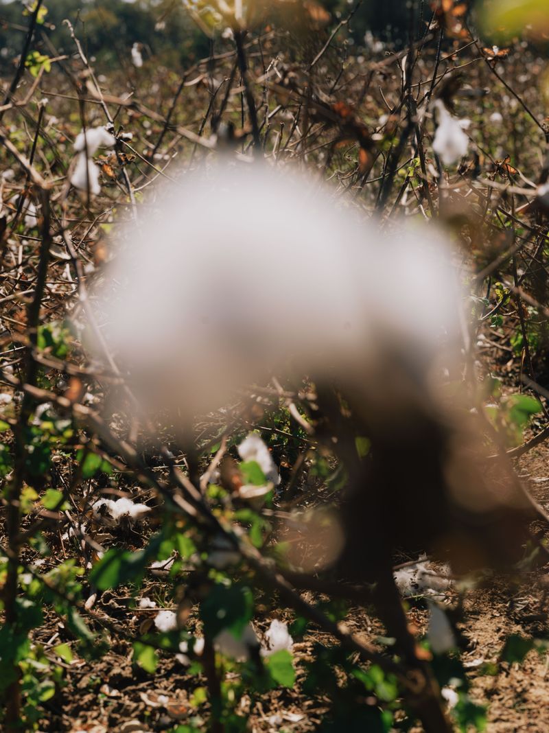 © Jorge Dieguez - Image from the How Many Rivers do we Have to Cross photography project