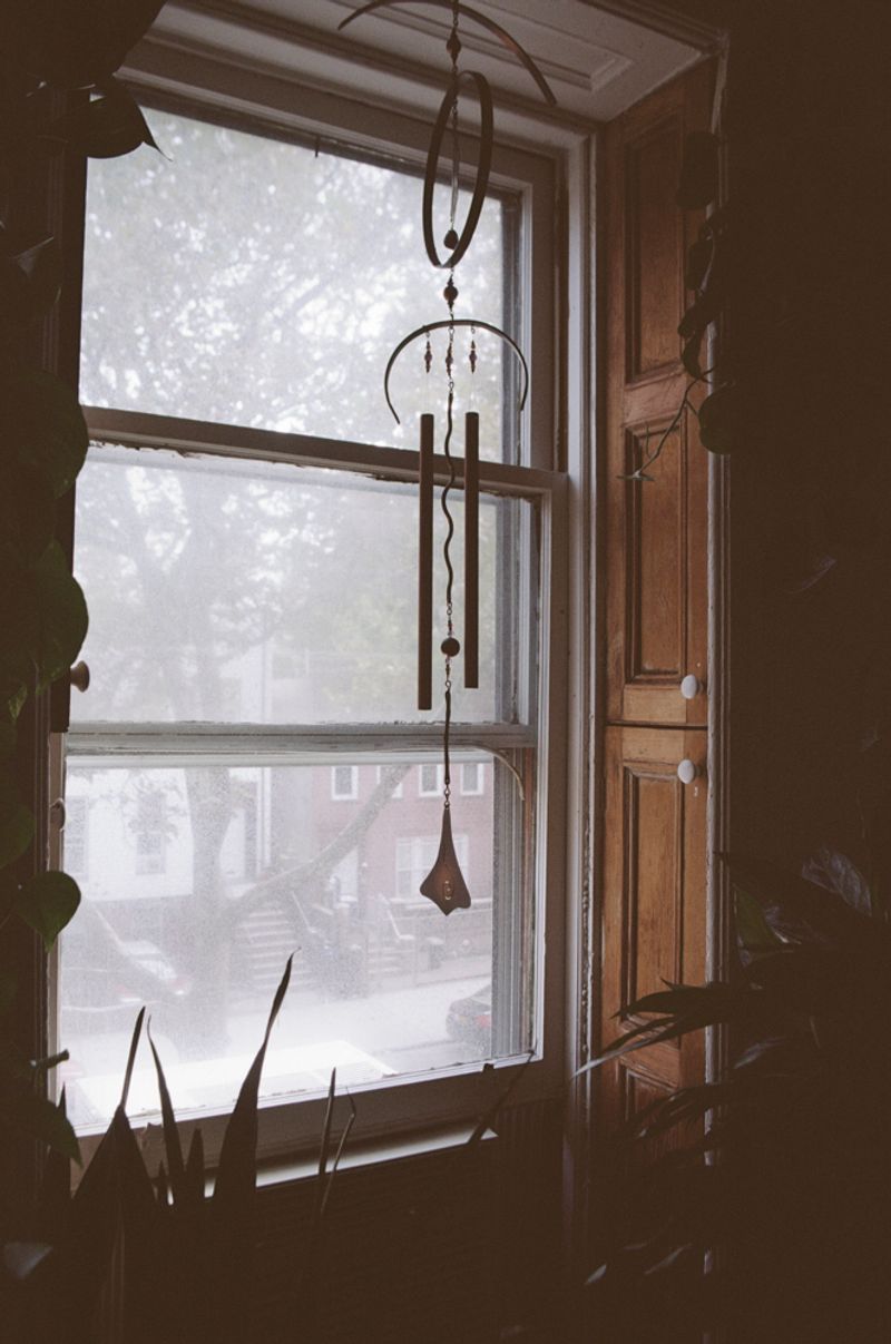 © Candace "Nyaomi" McLarty - New York, New York, USA. Analog photography.