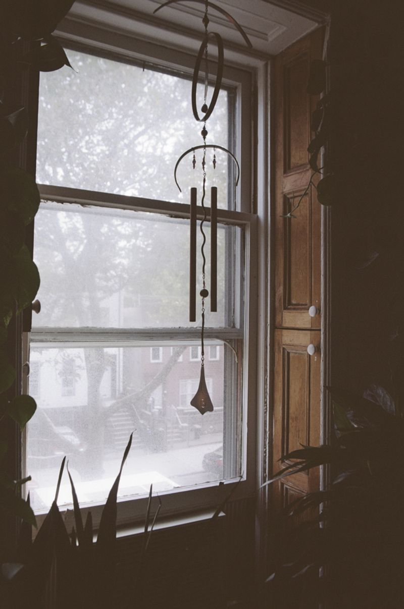 © Candace "Nyaomi" McLarty - New York, New York, USA. Analog photography.