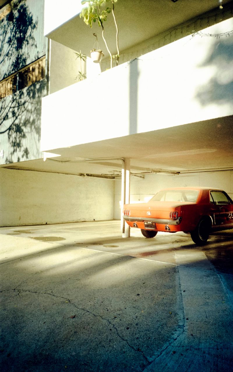 © Candace "Nyaomi" McLarty - Los Angeles, California, USA. Analog photography.