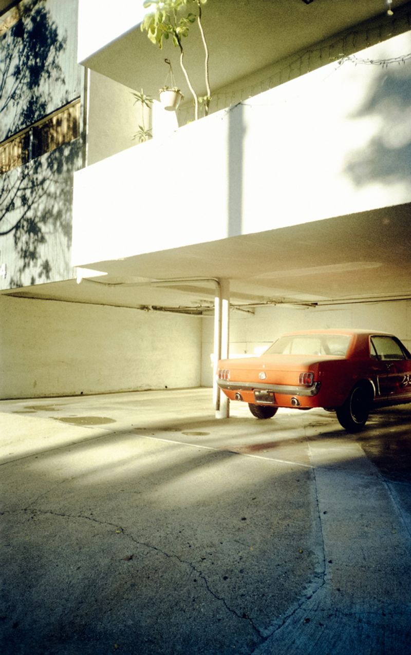 © Candace "Nyaomi" McLarty - Los Angeles, California, USA. Analog photography.