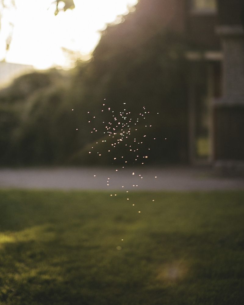 © Ying Ang - Image from the The Quickening photography project