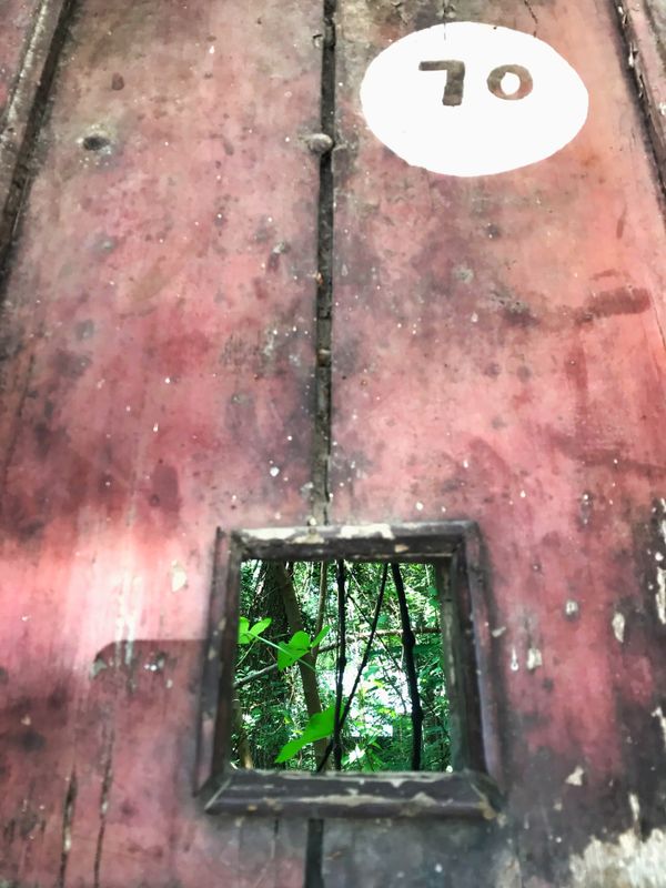 © Iffat Nawaz - Heart of the old faithful. India