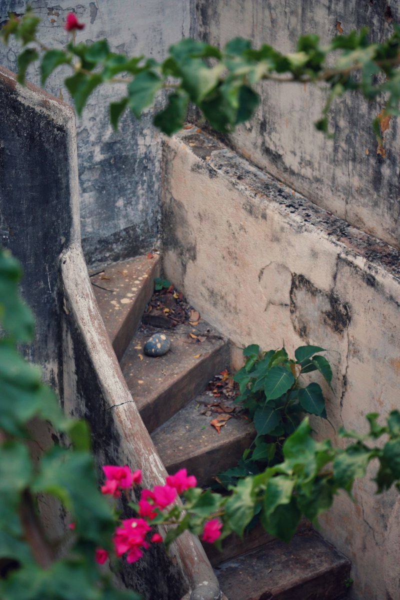 © Iffat Nawaz - Yesterday on next door's steps. South India