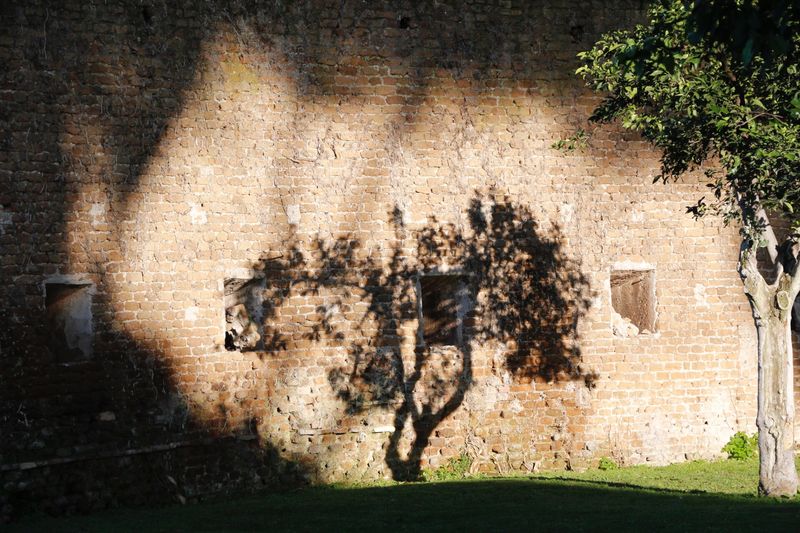 © Iffat Nawaz - The light at the Orange Grove. Rome, Italy