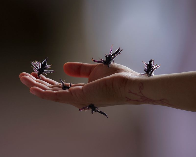 © Valerie Geissbühler - Image from the Soft Matter in Interwoven Worlds photography project