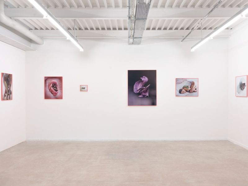 © Valerie Geissbühler - Image from the Soft Matter in Interwoven Worlds photography project