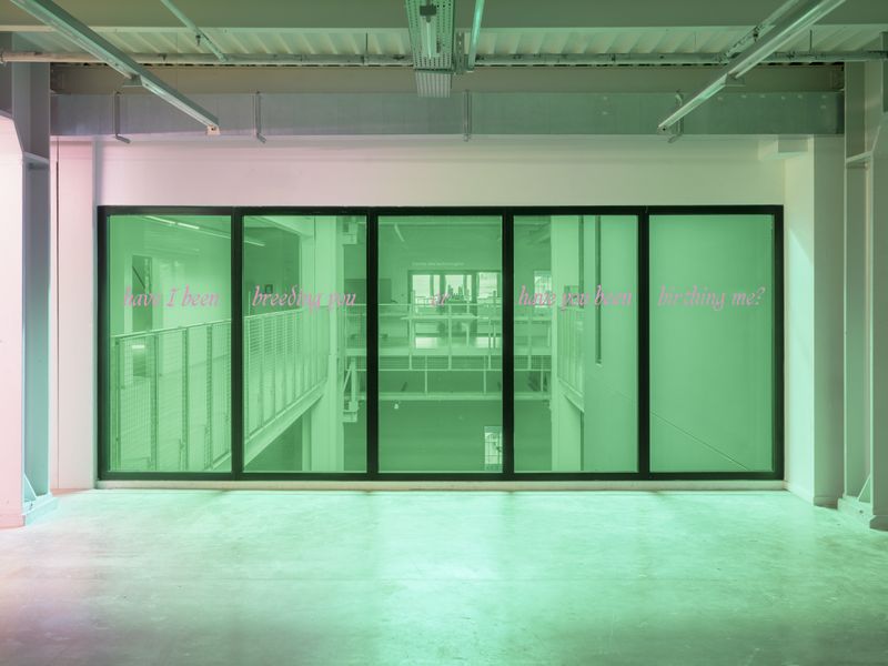 © Valerie Geissbühler - Image from the Soft Matter in Interwoven Worlds photography project