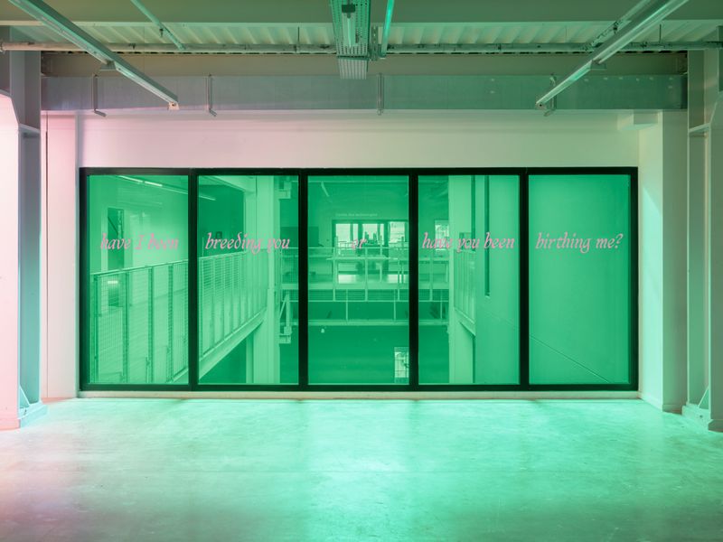 © Valerie Geissbühler - Image from the Soft Matter in Interwoven Worlds photography project