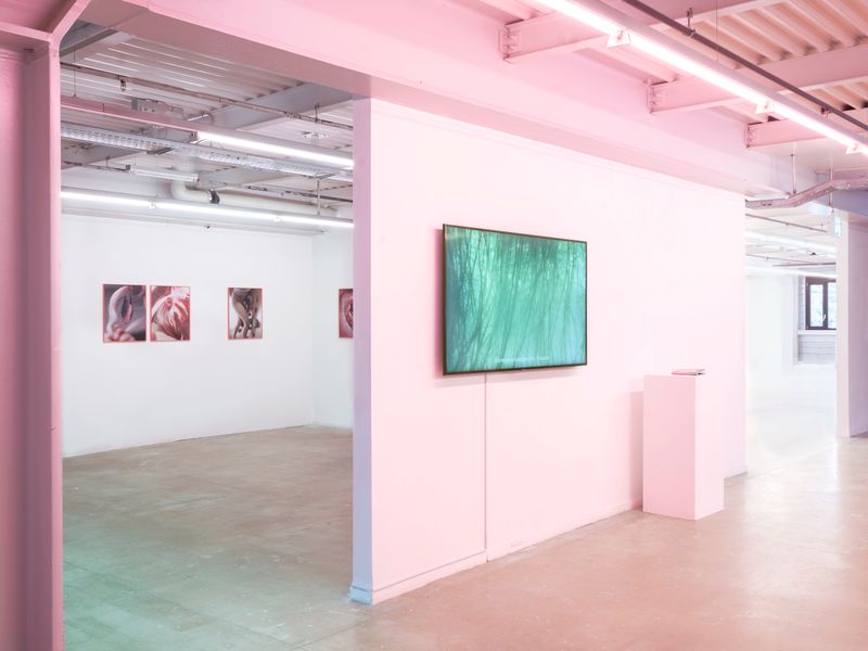 © Valerie Geissbühler - Image from the Soft Matter in Interwoven Worlds photography project