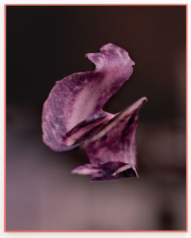 © Valerie Geissbühler - Image from the Soft Matter in Interwoven Worlds photography project