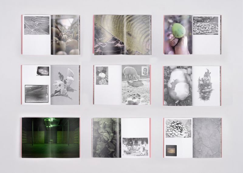 © Valerie Geissbühler - Image from the Soft Matter in Interwoven Worlds photography project