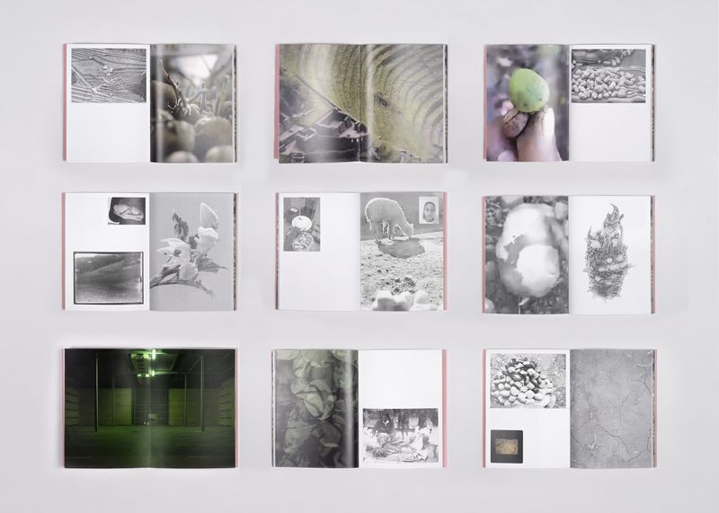 © Valerie Geissbühler - Image from the Soft Matter in Interwoven Worlds photography project