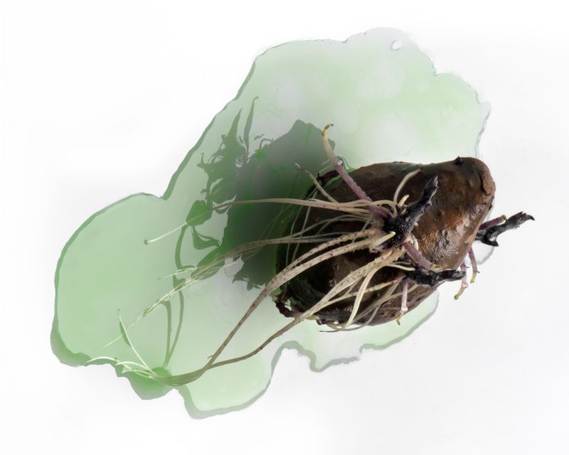 © Valerie Geissbühler - Image from the Soft Matter in Interwoven Worlds photography project