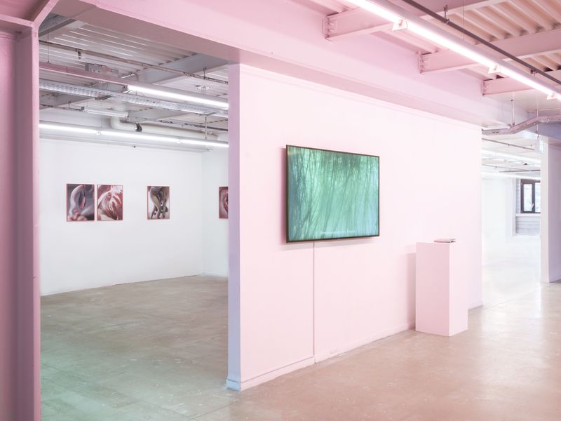 © Valerie Geissbühler - Image from the Soft Matter in Interwoven Worlds photography project