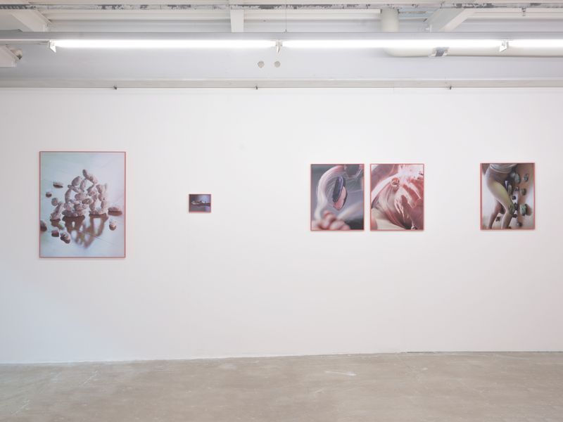 © Valerie Geissbühler - Image from the Soft Matter in Interwoven Worlds photography project