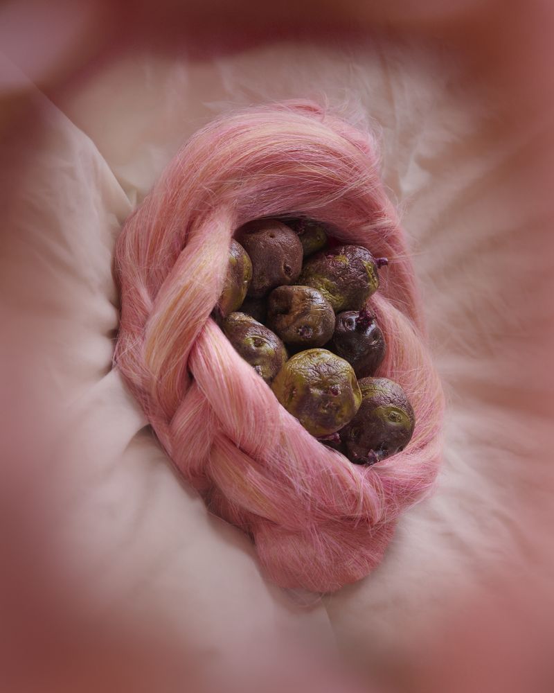 © Valerie Geissbühler - Image from the Soft Matter in Interwoven Worlds photography project