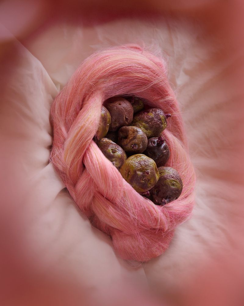 © Valerie Geissbühler - Image from the Soft Matter in Interwoven Worlds photography project