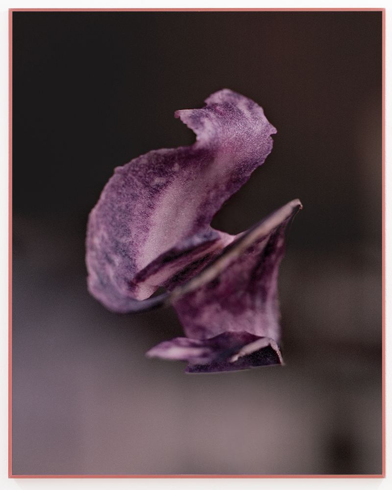 © Valerie Geissbühler - Image from the Soft Matter in Interwoven Worlds photography project