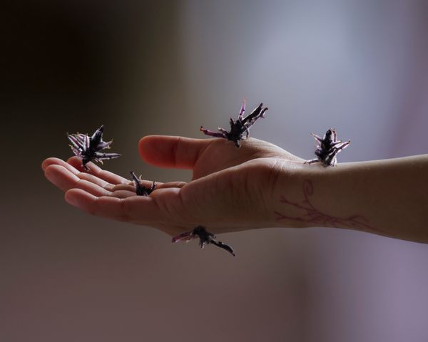 © Valerie Geissbühler - Image from the Soft Matter in Interwoven Worlds photography project