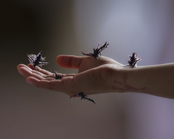 © Valerie Geissbühler - Image from the Soft Matter in Interwoven Worlds photography project