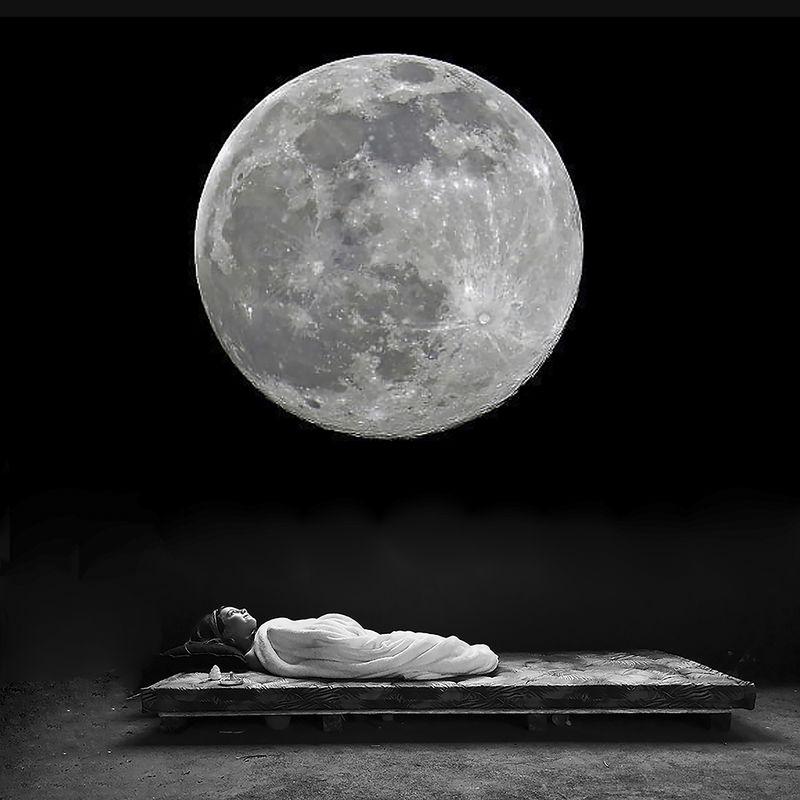 © caterina suzzi - "A cosa servono gli umani?""What are humans for? "