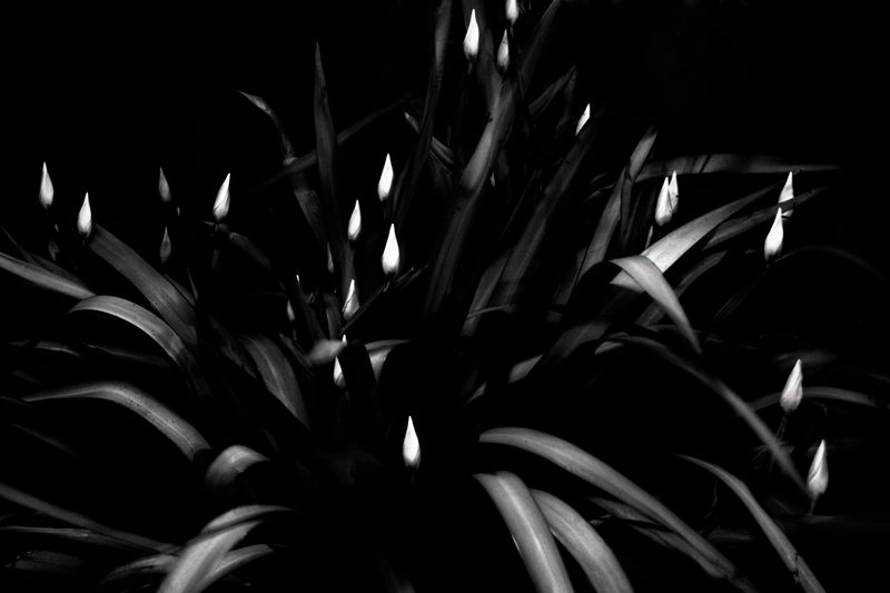 © caterina suzzi - Image from the PLAYFULNESS photography project