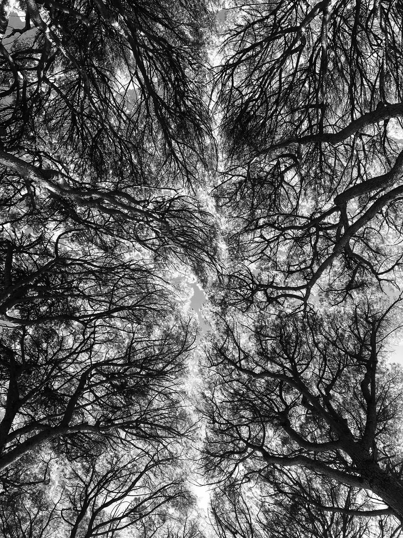 © caterina suzzi - Image from the PLAYFULNESS photography project